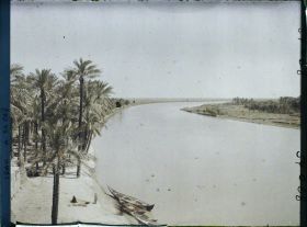 Image représentant Le Tigre