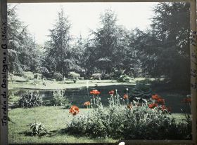 Image représentant les coquelicots près des étangs