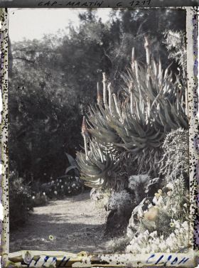 Image représentant le Jardin