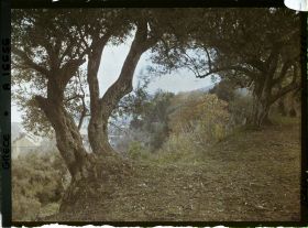 Image représentant Turquie, Mont Athos, Stravonikita, Paysage à Couthoumousson