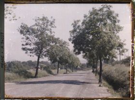 Image représentant France, Glorieux, La Voie Sacrée avant le passage à niveau, vue prise vers Verdun