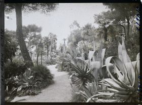 Image représentant le Jardin