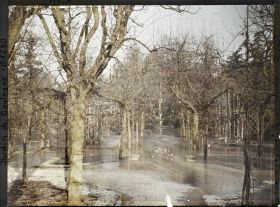 Image représentant Rond-point inondé proche du jardin français, sur une allée du verger-roseraie menant à la forêt bleue