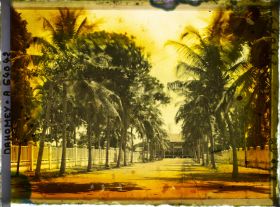 Image représentant L'avenue de la Gare dans le quartier européen