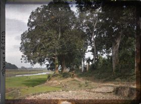 Image représentant Un chemin longeant une rivière