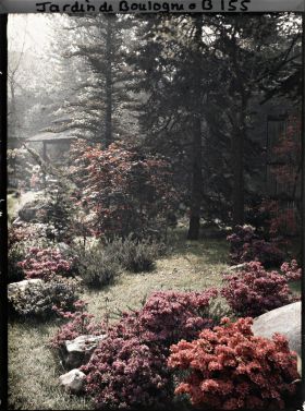 Image représentant Massifs d'azalées et rideau de résineux voilant la maison ouest du " village japonais "