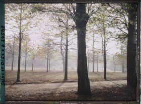 Image représentant Une allée dans le parc