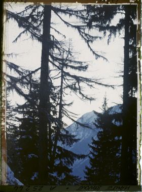 Image représentant France Les Alpes, La mer de Glace, Vue vers l'Aiguillette au Soleil Couchant