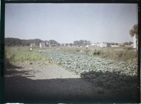Image représentant France, Verdun, Les terres Cultivées de Verdun au faubourg Pavé