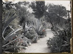 Image représentant Le Jardin