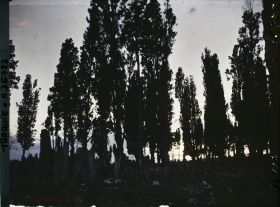 Image représentant Turquie, Constantinople, Soleil Couchant au Cimetière de Teckfour- Seraï