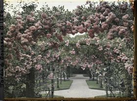 Image représentant Axe central du verger-roseraie vu depuis le second carrefour avant la dépendance