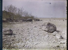 Image représentant Site palafittique préhistorique des Alpes, pieux en bois visibles lors de la baisse des eaux après la grande sécheresse de 1921 sur le lac de Neuchâtel