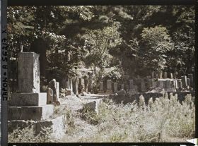 Image représentant Un coin du cimetière
