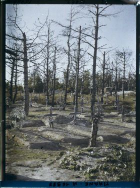Image représentant France, Cimetière de Thuisy