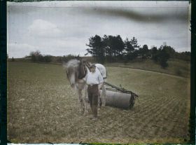 Image représentant Ile de France, Vallangoujard, Cultivateur passant le rouleau sur le blé en herbe