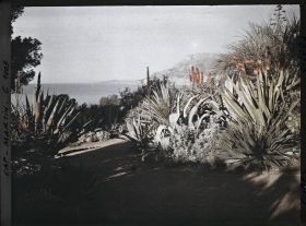 Image représentant Le Jardin (matin, vers Monaco)