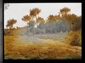 Image représentant Une maison dans la lande à Kerlescan