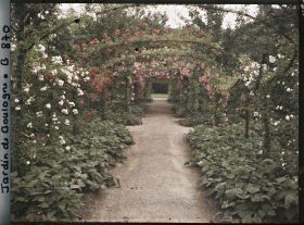 Image représentant Axe central du verger-roseraie bordé de légumes, vu vers l'est, après le rond-point côté dépendance