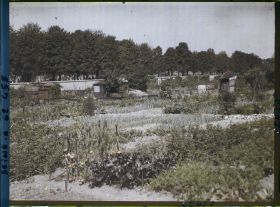 Image représentant Les jardins ouvriers à l'emplacement des anciennes fortifications porte de Clichy et le cimetière des Batignolles