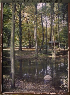 Image représentant La mare aux Biches dans le parc
