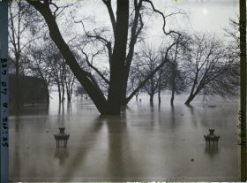 Image représentant La crue de la Seine à la pointe de l'île de la Cité, square du Vert-Galant