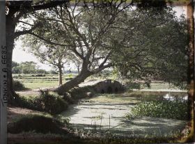 Image représentant Un paysage avec un petit pont