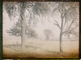 Image représentant France, Noyon, Panorama