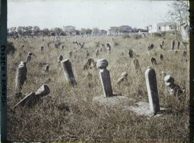 Image représentant Cimetière musulman (tombes et colonnes funéraires plantées sur une surface herbeuse)