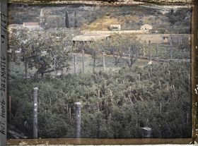 Image représentant Les chapiteaux des piliers de la treille