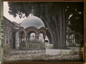 Image représentant Mont Athos, Grande Lavra, La phiale et le Cyprès