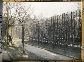 Image représentant Allée bordée de fruitiers palissés menant à la forêt bleue, dans la partie ouest du verger-roseraie