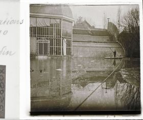 Image représentant Le palmarium et le jardin français lors de la crue