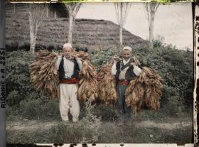 Image représentant Deux porteurs de tabac dans le domaine agricole d'Essad Pacha