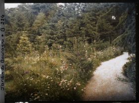 Image représentant La prairie vue en direction de la forêt vosgienne
