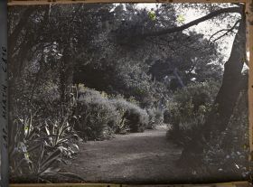 Image représentant Une allée du jardin