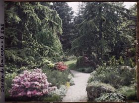 Image représentant Chemin fleuri bordé de grands arbres, situé près du torii et des ponts du " sanctuaire japonais "