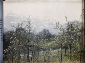 Image représentant Panorama sur la rivière de Sarnen avec des arbres en fleurs