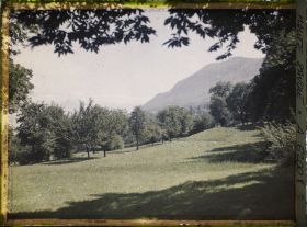 Image représentant Hte Savoie, Lugrin-Tourronde, Le Mont Mémizes