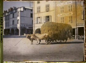 Image représentant Un char de foin attelé de deux boeufs de race d'Aubrac, place des armes