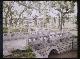 Image représentant Konglin, la nécropole de la famille de Confucius