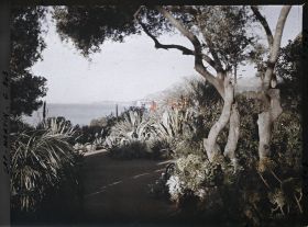 Image représentant Le Jardin (matin)