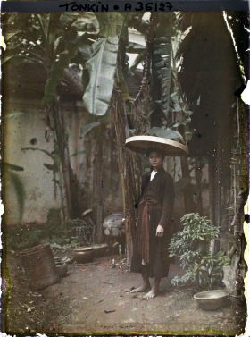 Image représentant Une jeune fille dans un coin de cour planté de bananiers
