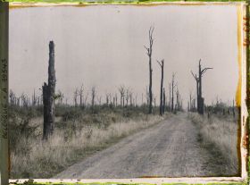 Image représentant Belgique, Font d'Houthulst, Font d'Houthulst, Route dans le font (Sud Est)