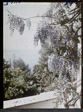 Image représentant le jardin