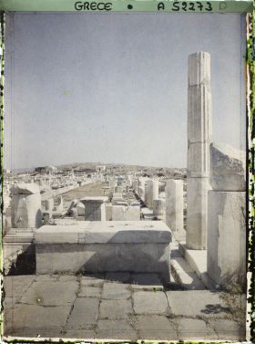 Image représentant Quartier du Hieron (sanctuaire) d'Apollon, l'avenue des Processions conduisant au Hieron (direction nord)