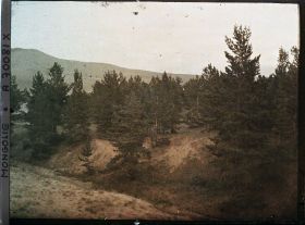 Image représentant La taïga