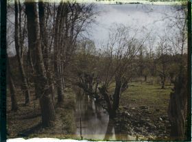 Image représentant Ile de France, Vallangoujard, Bords du Sausseron