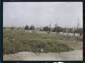Image représentant France, Abords de la route de Chaulnes