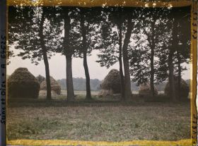 Image représentant Ile de France, Nointel, Meules de blé (temps pluvieux) en bordure d'une allée de peupliers(Temps gris)